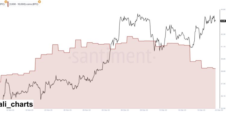 Bitcoin Whales Do $2.2 Billion Selloff, But BTC Stays Strong