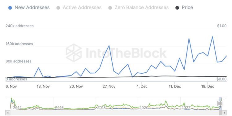 Data Shows DOGE Adoption Is Accelerating