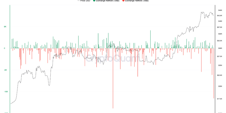 Bitcoin Whales Bought The Recent Dip While Market Panicked