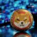 Shibarium’s Activity Surge: Wallet Growth And Elevated SHIB Burn Rate