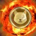 Shiba Inu Burn Rate Rises Rapidly In One Week, What’s Been Driving It?