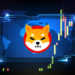 Shiba Inu Just Spiked 12% Overnight