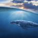 Ethereum Whales Scoop Up $230 Million In ETH In One Week