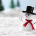 XRP In December 2023: The Hope For $1