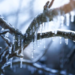 3 Reasons This Crypto Defrosts While Others Hibernate In The Run-Up To 2024