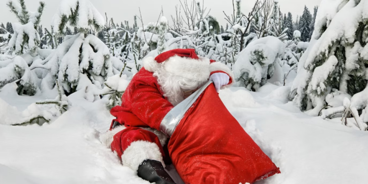 Cardano 50% Rally Sets Stage For A Merry Christmas