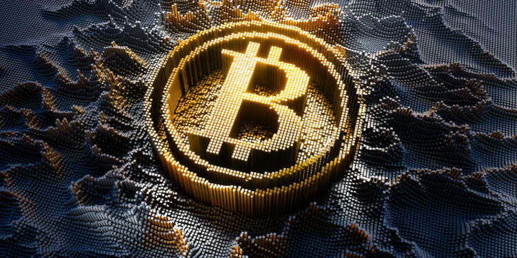 Bitcoin Sees Surge In Whale Activity, Will This Affect Price?