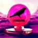 Crypto Project Built on Kusama (KSM) Skyrockets 188% This Week Amid Wider Polkadot (DOT) Ecosystem Momentum