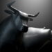 DOT Price (Polkadot) Holds Strong At $6.6, Signs Point To Fresh Rally Ahead