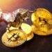 Bitcoin Poised For December Surge As Historical Patterns Suggest Strong Upside Ahead