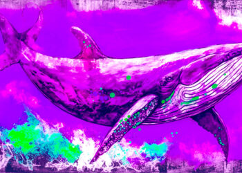 Crypto Whales Give Chainlink Boost After Accumulating $50,000,000 More in LINK: Santiment