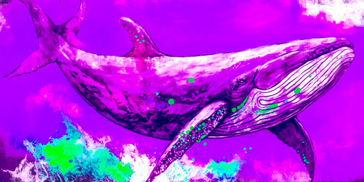 Crypto Whales Give Chainlink Boost After Accumulating $50,000,000 More in LINK: Santiment