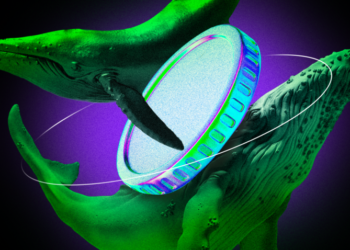 Ethereum Whales Boost Holdings to Record Levels Amid Market Optimism