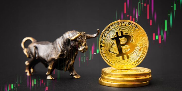 Analyst Predicts Bitcoin to Hit $250,000 Before Halving