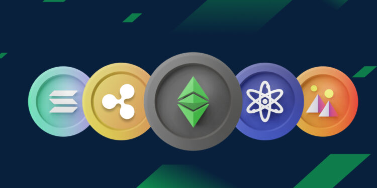 Crypto Expert Shares Ultimate Crypto Portfolio Guide To Make It In 2024