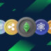 Crypto Expert Shares Ultimate Crypto Portfolio Guide To Make It In 2024