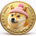 Dogwifhat’s Meteoric Rise: Will it Eclipse Bonk?