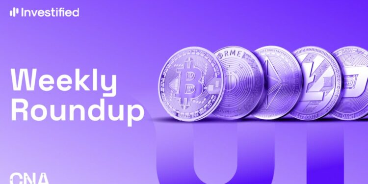 CNA Weekly Roundup 12.01.24