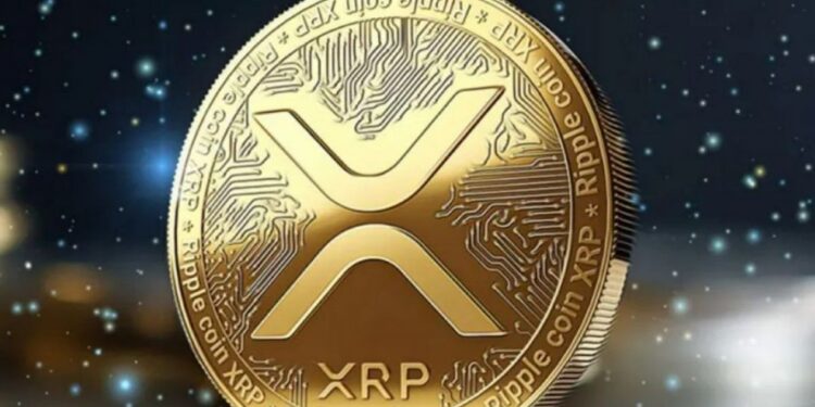 XRP Whales Make Big Moves Amid Market Volatility