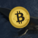 Bitcoin Whale Carries Out Massive Sell-Off