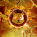 Over 12 Million SHIB Vaporized