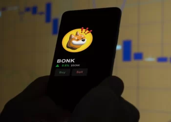 Is the Meme Coin Frenzy Ending? BONK Plummets by 70%