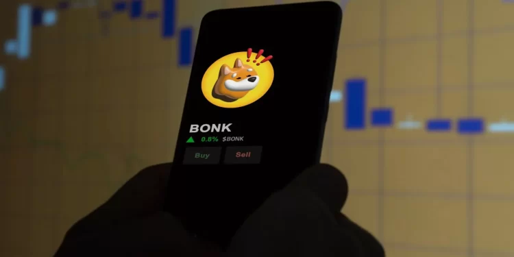 Is the Meme Coin Frenzy Ending? BONK Plummets by 70%