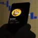Is the Meme Coin Frenzy Ending? BONK Plummets by 70%