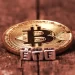 Pomp: Bitcoin Has Become Wall Street’s Favourite Asset