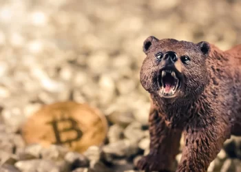 Why Is Bitcoin Pumping? Experts Weigh In