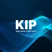 KIP Protocol Closes Strategic Funding Round Led by Animoca Ventures