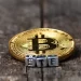 Bitcoin ETF Issuers May Dwindle by End of Year, Says Valkyrie CIO