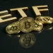 BlackRock Bitcoin ETF Gains $500M as Wall Street Appetite for BTC Grows