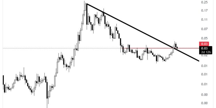 Top-Trader Picks Cardano As Bull Market Leader: Here’s Why