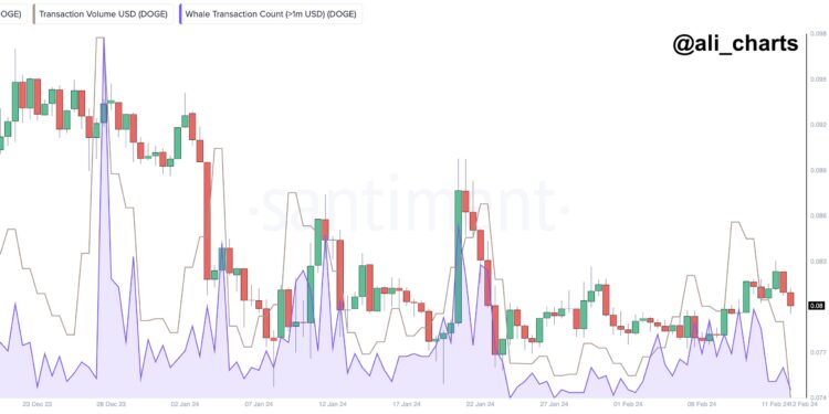 Dogecoin Out Of Fashion? Volume & Whale Activity Plunges