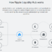 What Is Ripple?