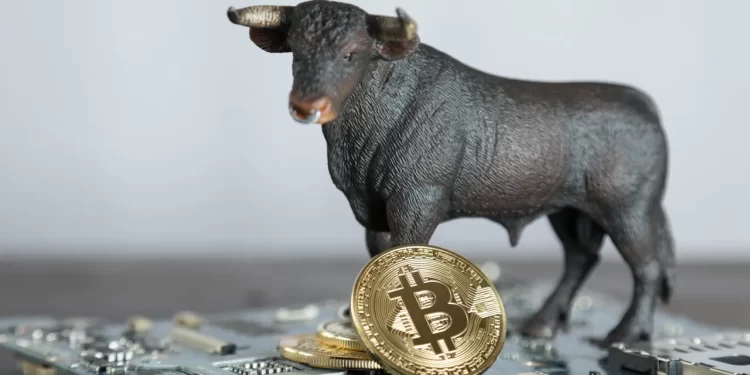 Pomp Remains Bullish on Bitcoin, Predicts Potential Doubling Soon