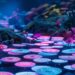 This Ethereum Rival’s Ecosystem Will See Massive Memecoin Rallies, Says Crypto Trader