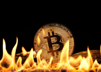 CryptoQuant Analysis Shows Market May Be Overheating, Heading For Further Correction
