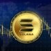 Solana, Bonk, WIF Make Record Gains, Lead Rally As Major Coins Stall