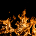Fetch AI Fetches Fire – 110% Price Surge Ignites All-Time High