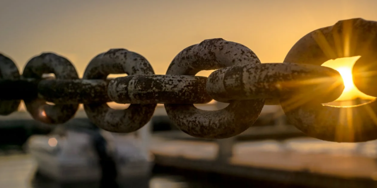 Crypto Whales Bet Big On LINK