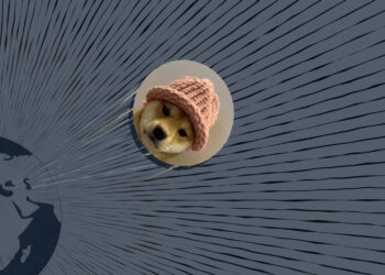 NFT of Achi, the Original ‘dogwifhat,’ Fetches $4.3 Million in Sale