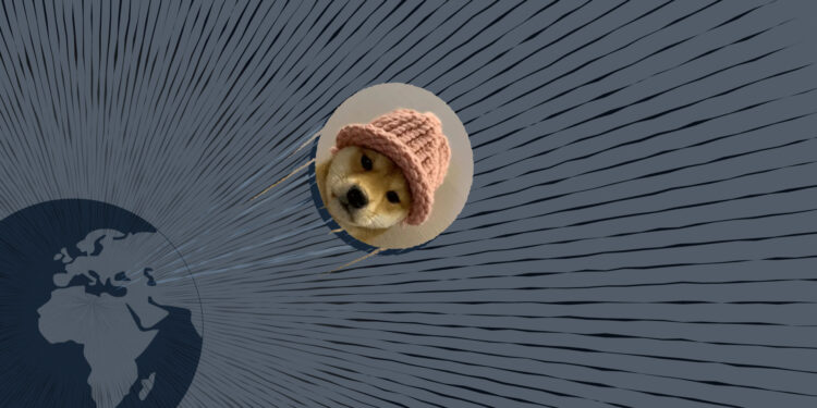 NFT of Achi, the Original ‘dogwifhat,’ Fetches $4.3 Million in Sale