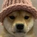Dogwifhat Spat? Ethereum NFT Auction Reveals Tensions Between Dog’s Owners and Solana Community