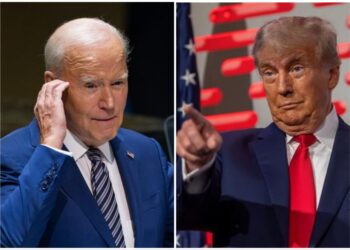 Meme Coins Inspired by Donald Trump and Joe Biden Experience Rapid Growth