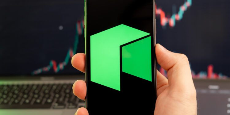 Here’s What’s Behind the Rally