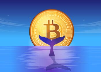 $282 Million in BTC Acquired Amid Market Lows