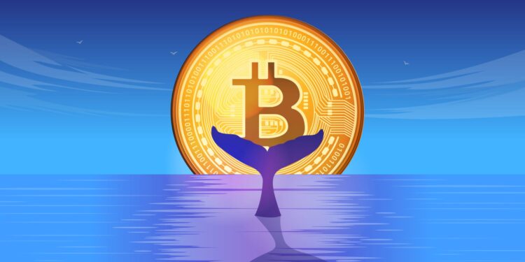 $282 Million in BTC Acquired Amid Market Lows