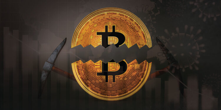 How Should the Bticoin Halving Impact the Cryptocurrency Market